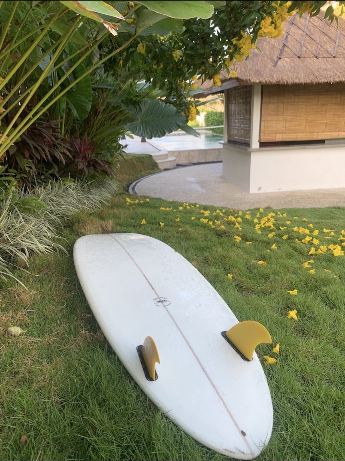 Surfing in Canggu