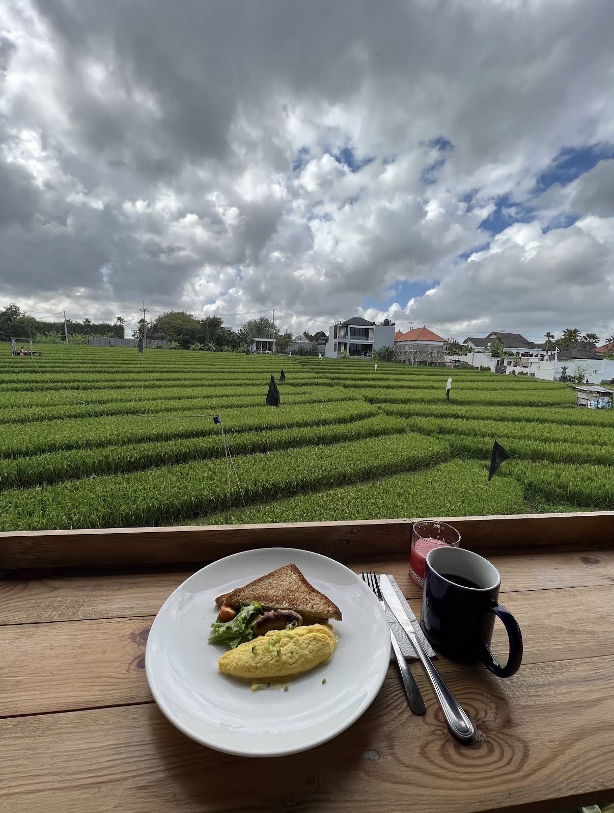 Rice field views from Sepeda Hostel